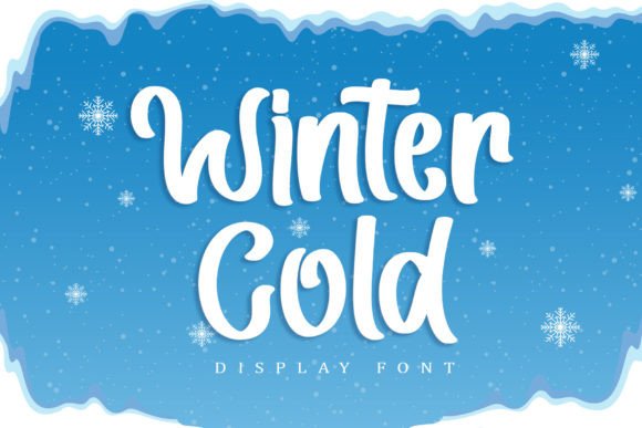 Winter Cold: A Designer’s Real-World Review